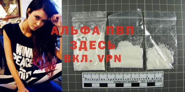 шишки Киренск