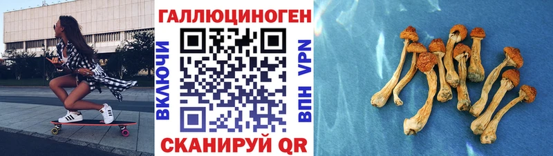 сколько стоит Красновишерск darknet состав Галлюциногенные грибы мицелий